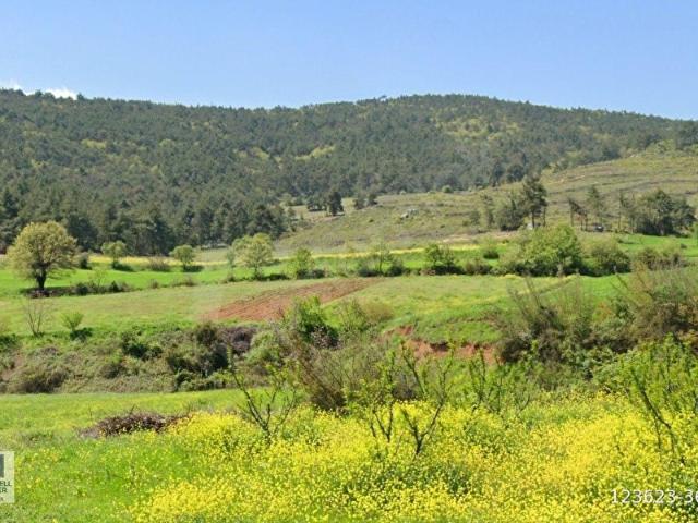 Osmaneli, Bilecik içerisinde satılık Arsa