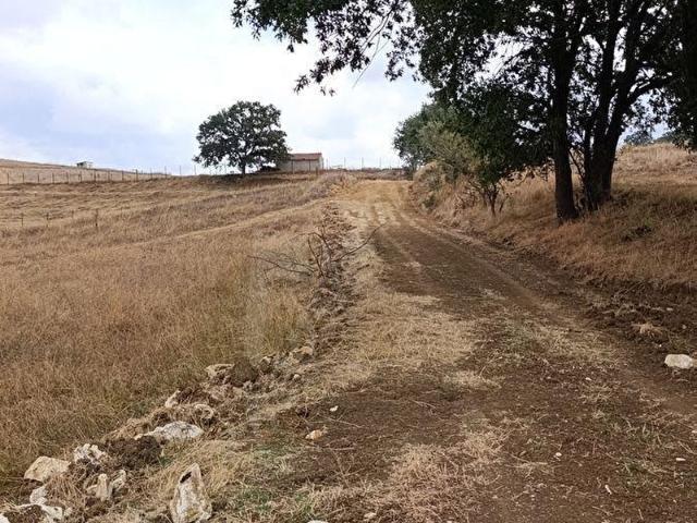 Kızılsaray, Söğüt içerisinde satılık Arsa