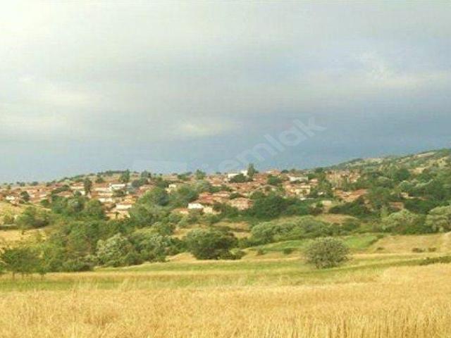 Söğüt içerisinde satılık Arsa