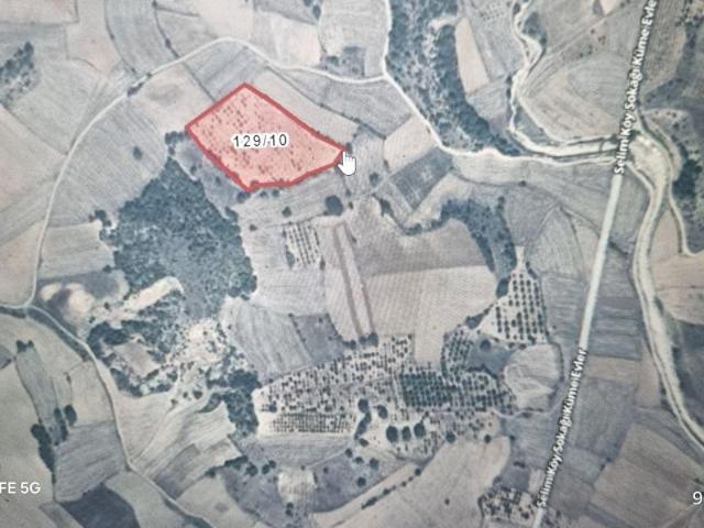 Yenipazar, Bilecik içerisinde satılık Arsa