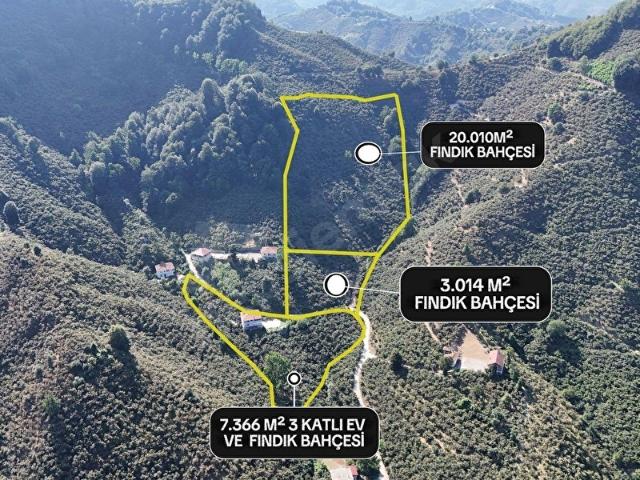 Çamlıca, Terme içerisinde satılık Arsa