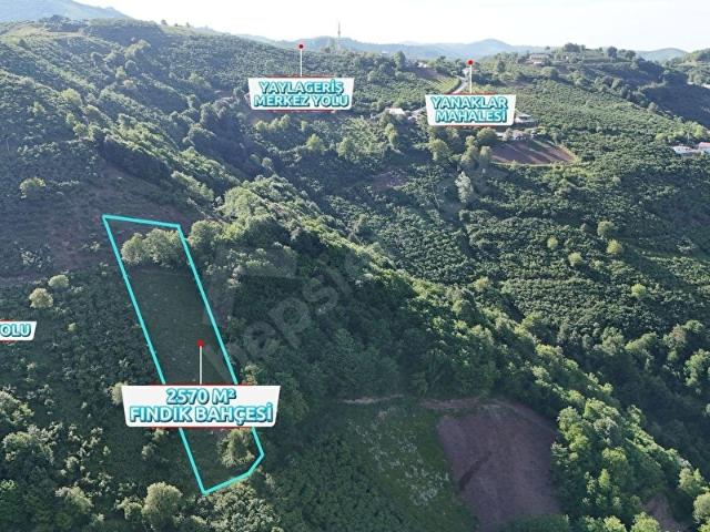 Tekkeköy, Samsun içerisinde satılık Arsa