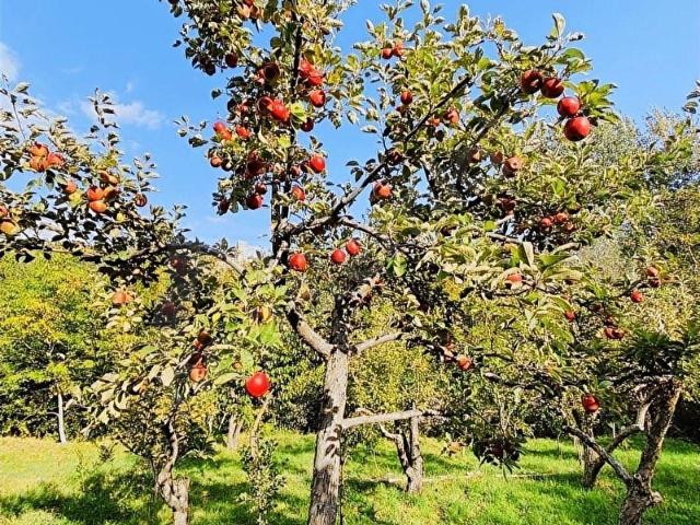 Niğde içerisinde satılık mülk