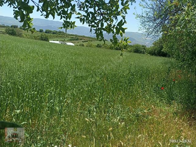 Tokat Merkez, Tokat içerisinde satılık Arsa