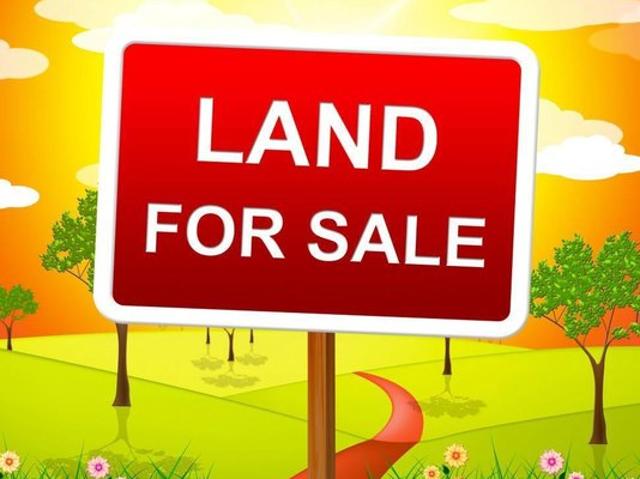 Land for sale in Laurel, Sussex County