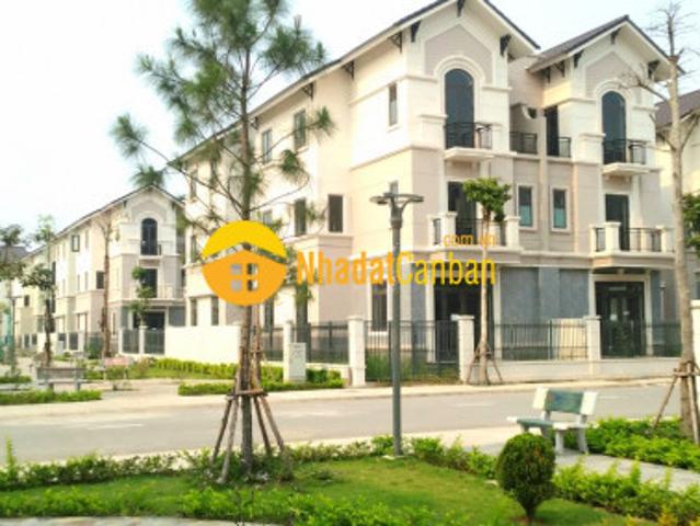 Biệt Thự bán