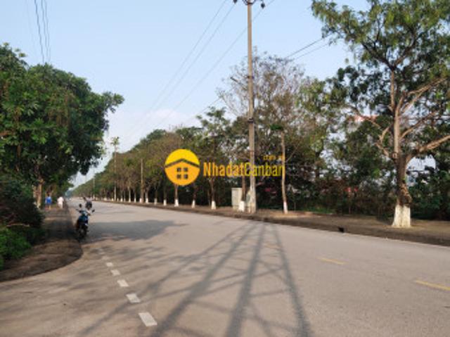 Biệt Thự bán