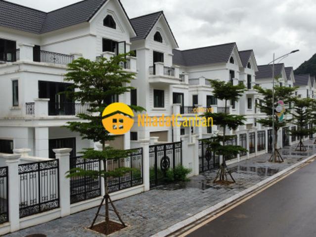 Biệt Thự bán