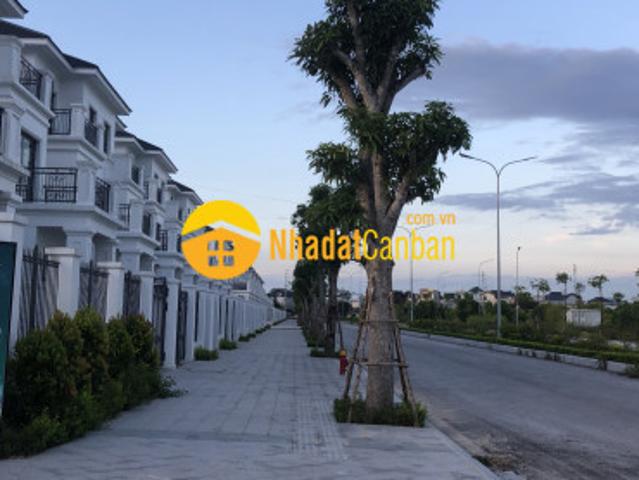 Biệt Thự bán