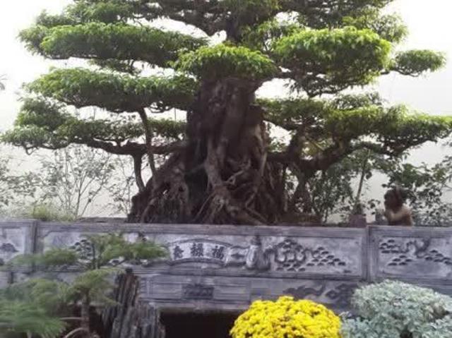 Biệt Thự bán tại Hoàn Kiếm, Hà Nội