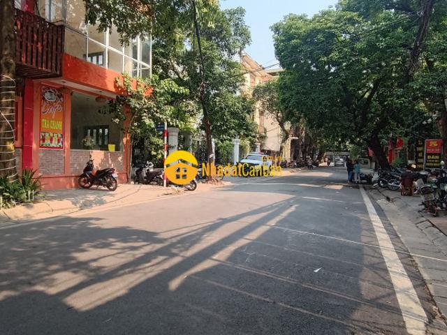 Biệt Thự bán