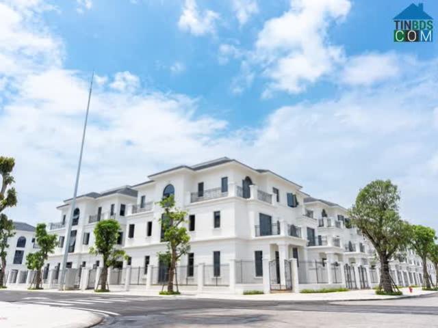 Biệt Thự bán