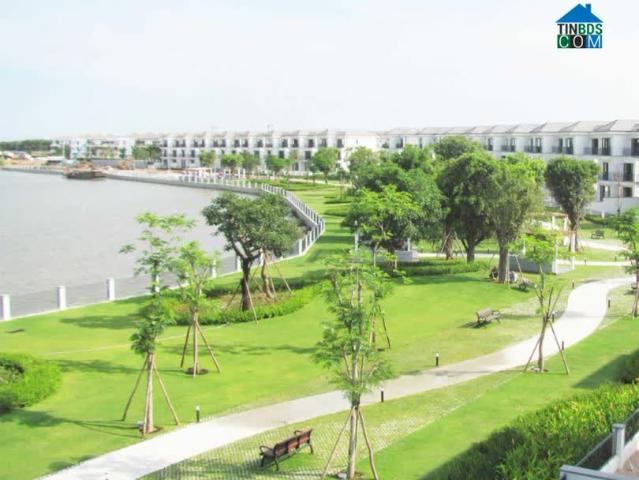 Biệt Thự bán tại Khuôn viên UBND Thành phố Hồ Chí Minh, Thành phố Hồ Chí Minh
