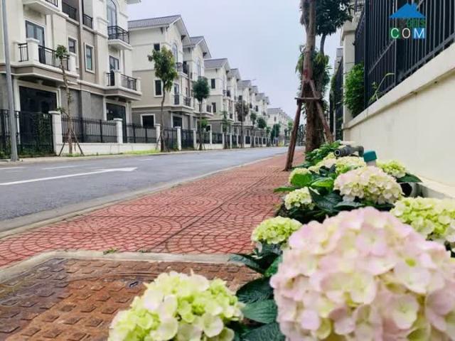Biệt Thự bán tại Bắc Ninh