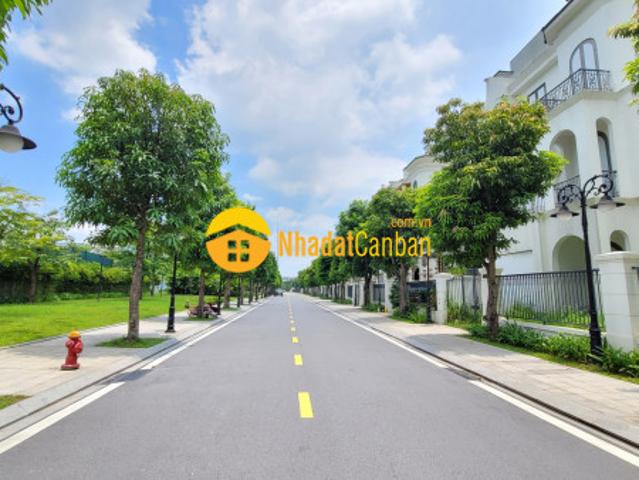 Biệt Thự bán