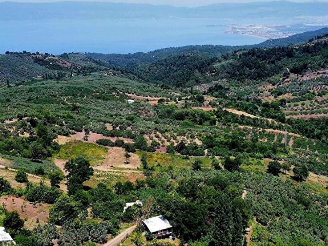 Osmangazi, Bursa içerisinde satılık mülk
