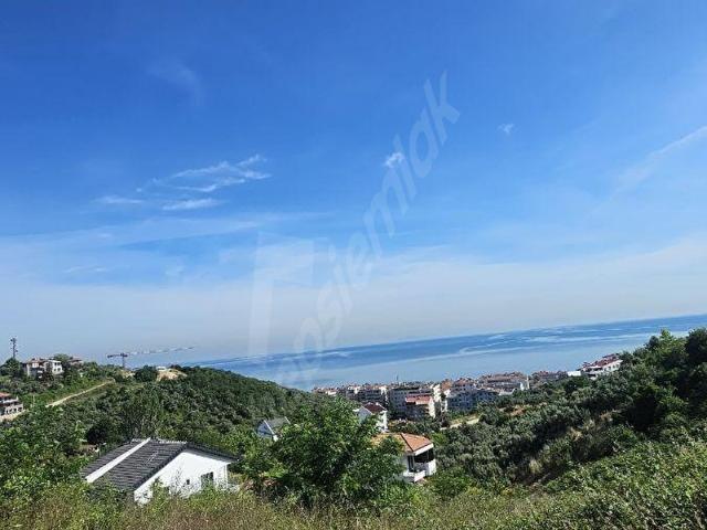 Çinarcik, Yalova içerisinde satılık Arsa