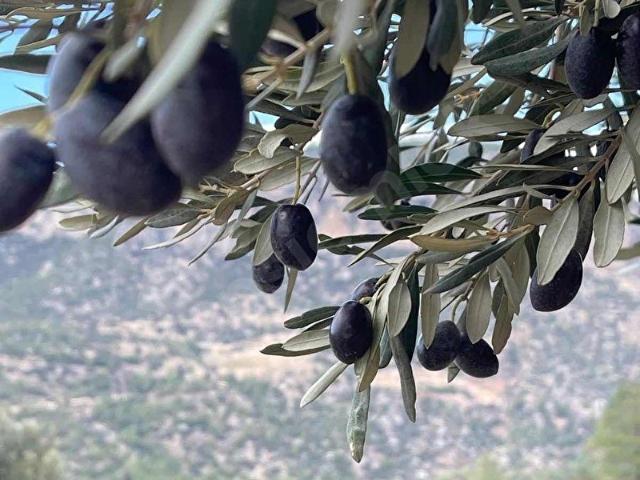 Silifke, Mersin içerisinde satılık mülk