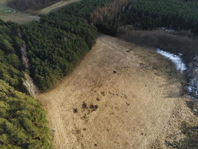 Grunt na sprzedaż w Biała Piska, Warmińsko-mazurskie