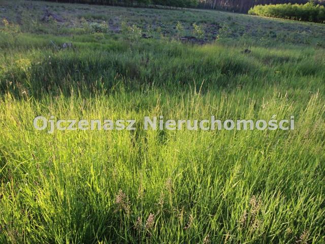 Grunt na sprzedaż w Białe Błota, Kujawsko-pomorskie