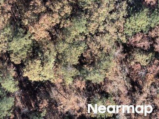 Land for sale in Ark