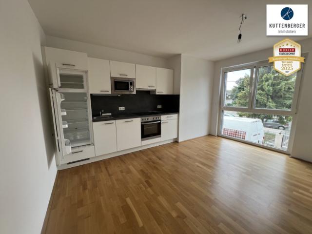 Terrassenwohnung mieten in Wien, KG Aspern