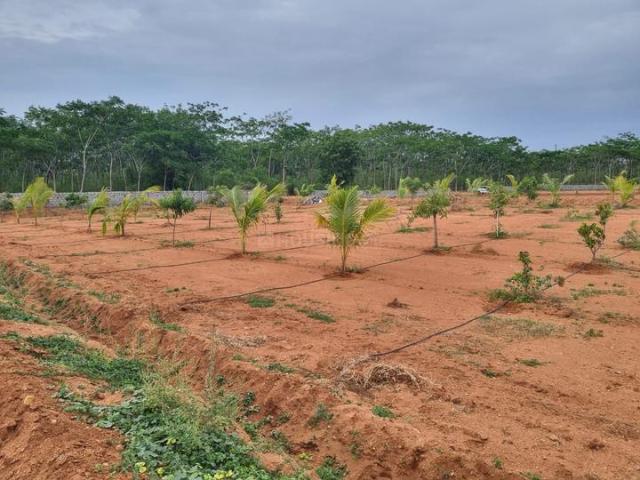 Land for sale in Bibinagar, Telangana