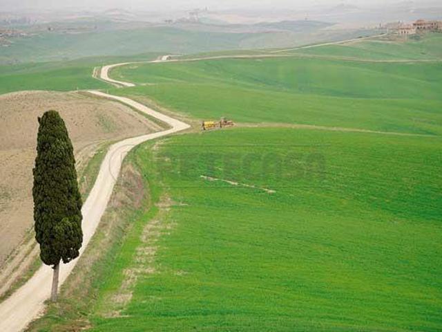 Appartamento in affitto a Morro D'oro, Abruzzo