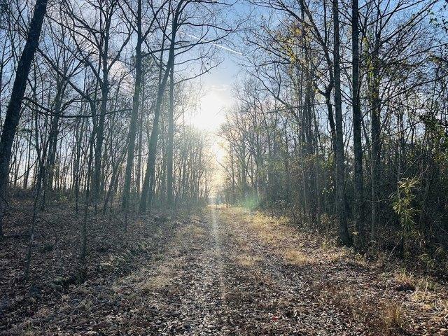 Land for sale in Butler, Georgia