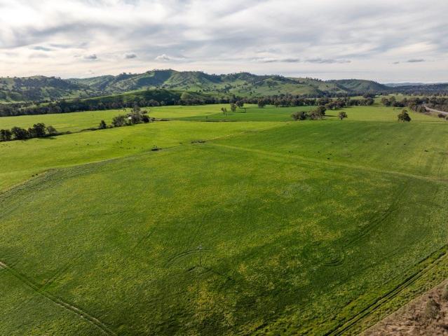 Cottage for sale in South Gundagai, New South Wales