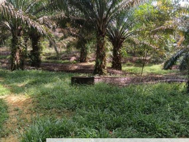 Shop for sale in Perak