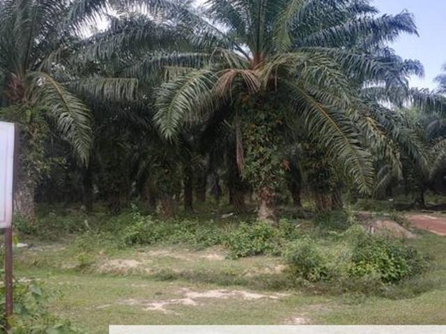 House for sale in Perak