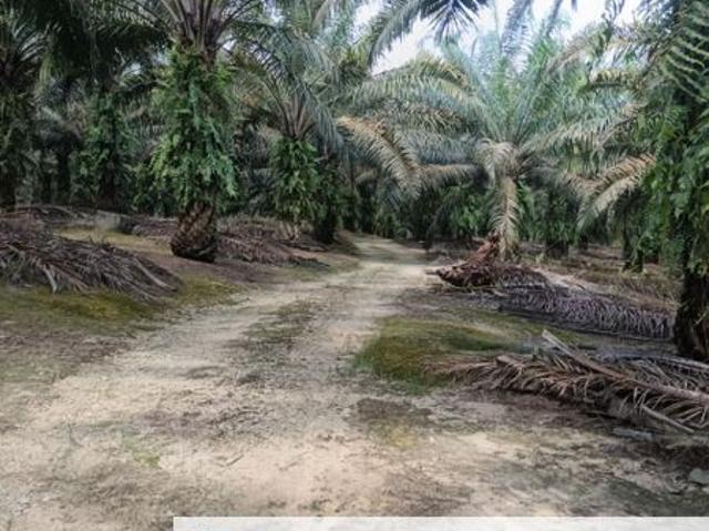 Shop for sale in Perak