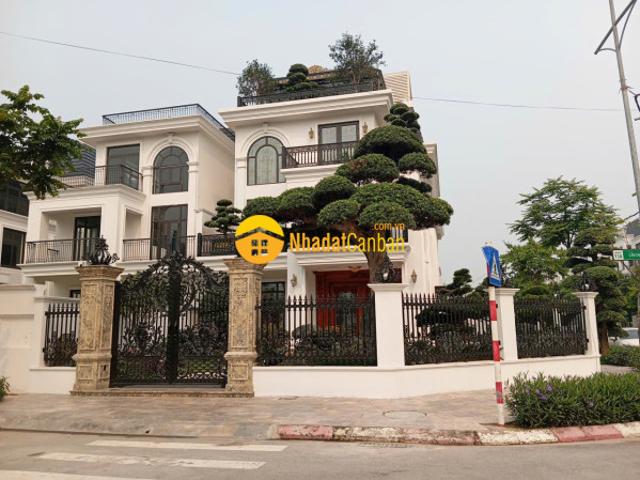 Biệt Thự bán