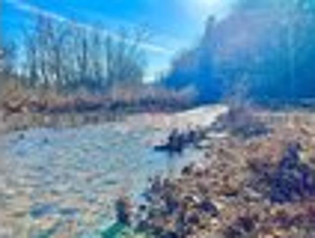 Land for sale in Farmington, Missouri