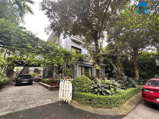 Biệt Thự bán