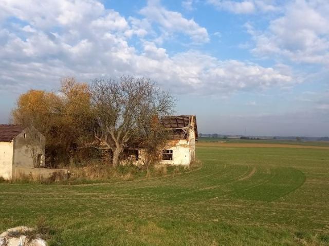 Grunt na sprzedaż w Stare Siołkowice, Opolskie