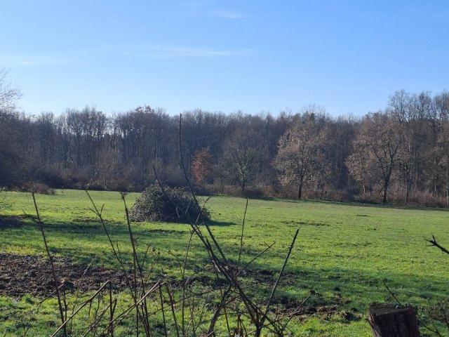 Terrain vente à Bourges, Allogny