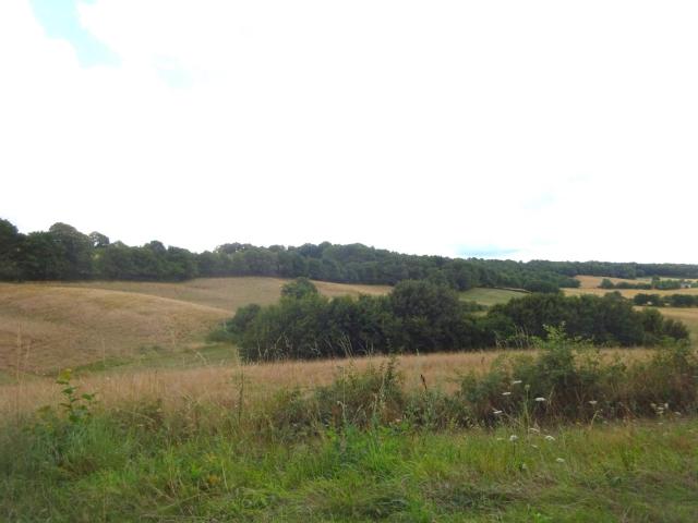Terrain vente à Nogent-le-Rotrou, Brunelles