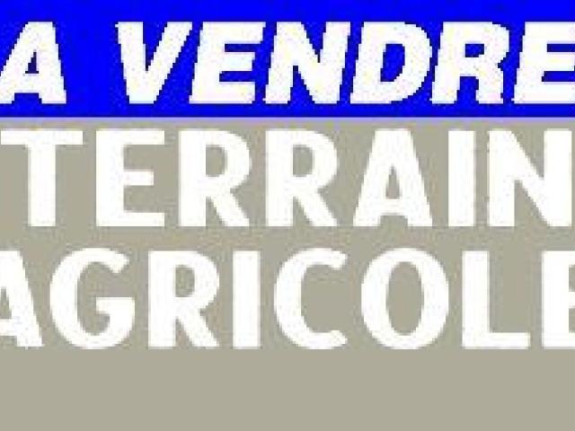 Terrain vente à Saint-Amand-Montrond, Châteauneuf-sur-cher