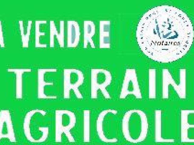 Terrain vente à Saint-Amand-Montrond, Venesmes