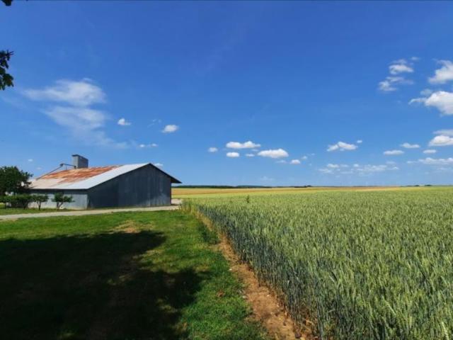 Terrain vente à Châteauroux, Montierchaume