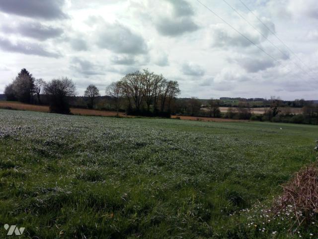 Terrain vente à Mayenne, Villaines-la-juhel