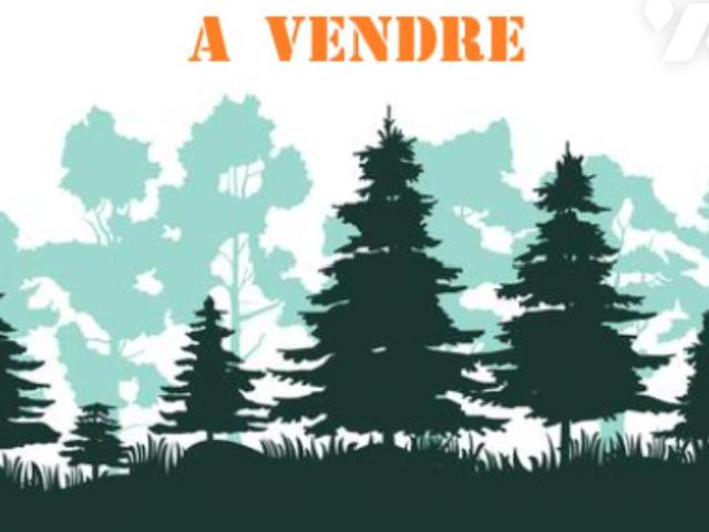 Terrain vente à Levier
