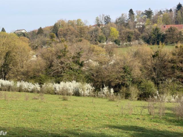 Terrain vente à Besançon, Doubs