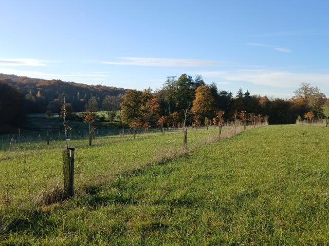 Terrain vente à Les Autels, Aisne
