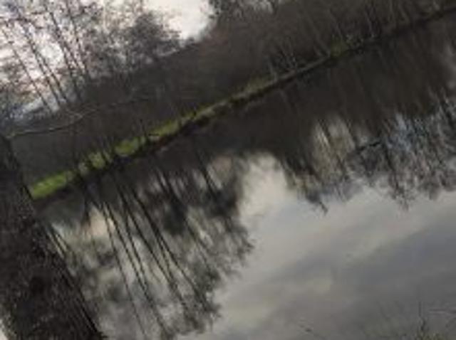 Terrain vente à Moutiers-en-Puisaye, Yonne