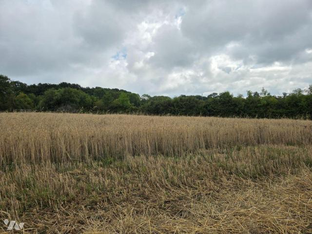 Terrain vente à Mayenne, Villaines-la-juhel