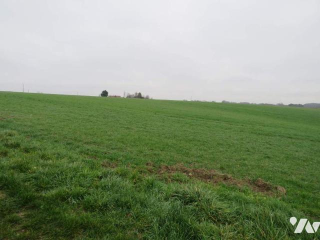 Terrain vente à Betz-le-Château, Indre-et-Loire