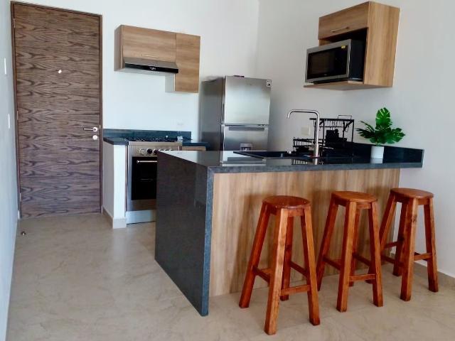 Departamento en renta en Quintana Roo